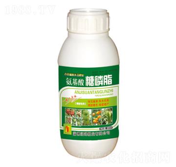 ƿ�b����������֬-����