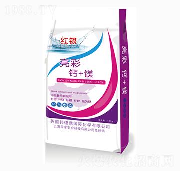 �����}+�V-�t�y-����