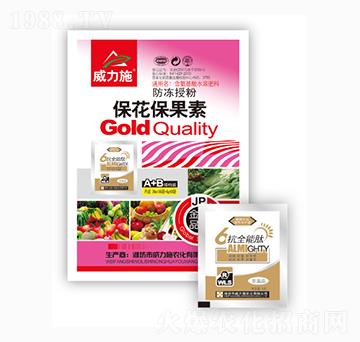 ����������-����ʩ