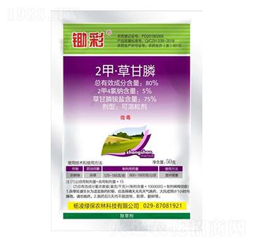 80%2�ס��ݸ��-�z