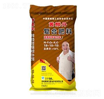 �S����⛏ͺϷ���18-18-18-�S�׵�