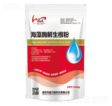 ����ø��������-����ʩ