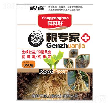 ������-����ʩ