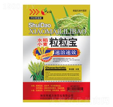 ˮ��С��������-����ʩ