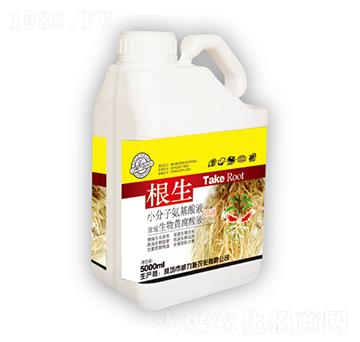 ����-����ʩ