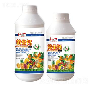 �S���}-����ʩ