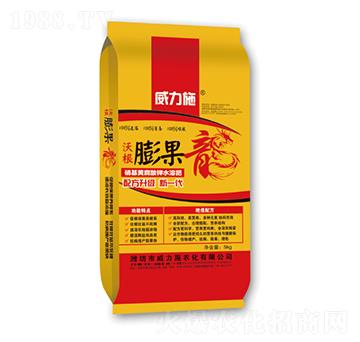 �ָ������-����ʩ