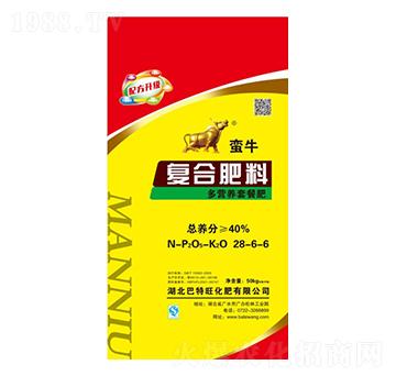 ��I(y��ng)�B(y��ng)�ײ͏�(f��)�Ϸ���28-6-6-�Uţ-������