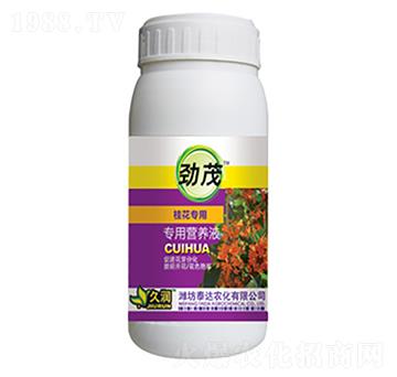 �𻨌��àI�B(y��ng)Һ-̩�_(d��)�r(n��ng)