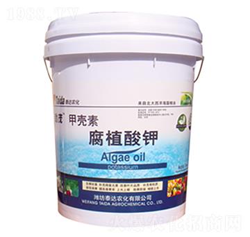 �ך��ظ�ֲ���-̩�_(d��)�r(n��ng)