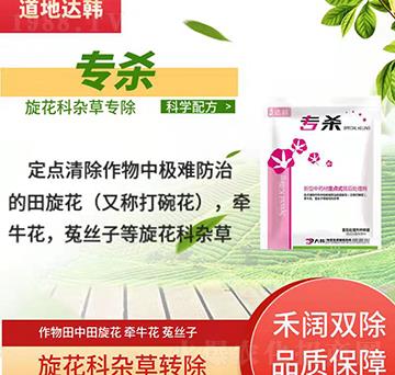 ������ˎ�Ķ��c(di��n)ʽ���̎�턩-��(zhu��n)��-���n