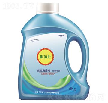 �����-�����-���r(li��n)��