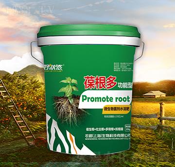 葆根多-好狀態(tài)-農(nóng)爵