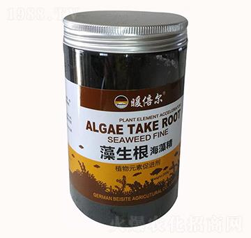 ���������徫-�����