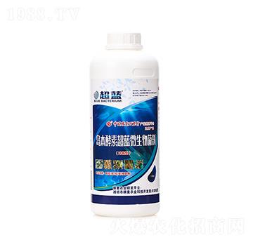 �u�����س��{΢�������