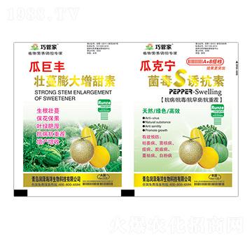 瓜巨豐壯蔓膨大增甜素+瓜克寧菌毒S誘抗素-巧管家-潤(rùn)澤