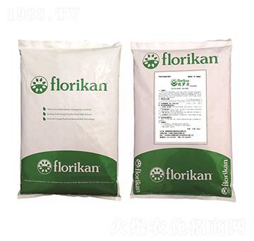 �M�ڿ�ጷ� ���_�� �S������