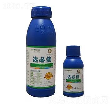 �_�ؼ� �S������