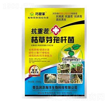 抗重茬枯草芽孢桿菌 巧管家 潤澤