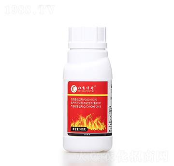 13.7%��������� ��(d��)�����