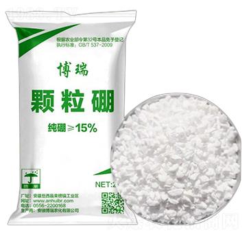 �w����ʩ��� �����r(n��ng)��