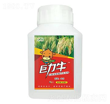 С��ˮ���߮a ����ţ ����