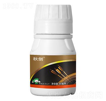 5%ʭ����-�-�S��