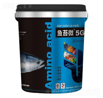 �~̦΢5G-����ʘI(y��)