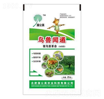 �ӏ�(qi��ng)���B(ni��o)�F�� �ѹ�Ӣ�r(n��ng)�I(y��)