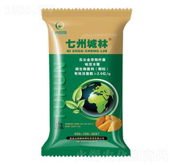 ���׷��طN��-���ݳ���