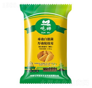 �����طN��-��ķ