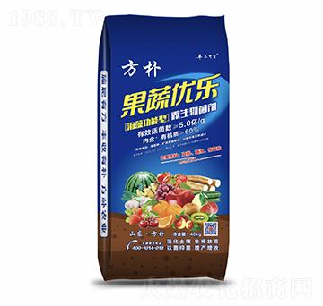 ΢�������-���߃�(y��u)��-����