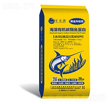 �����ЙC̼ø�~����-�����v