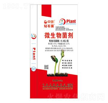 ΢�������-�@ʯ��-�Љ�