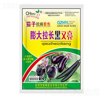 茄子膨大拉長黑又亮-暢瞬