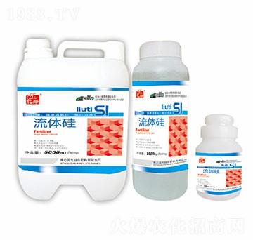 ���w��-�������r(n��ng)