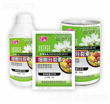 ���������ؽM��-������