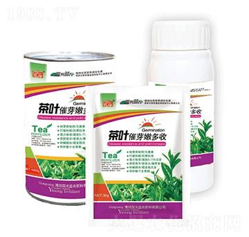 ���~��ѿ�۶��սM��-��