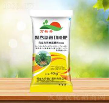 聚谷氨酸功能肥-盛華農業(yè)