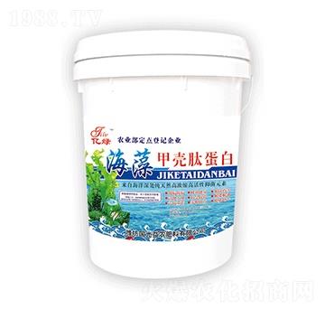 ����ך��ĵ���-������