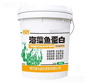 �S������ͺ����~����-