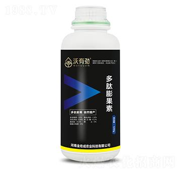 ���������-���Є�-���ճ�