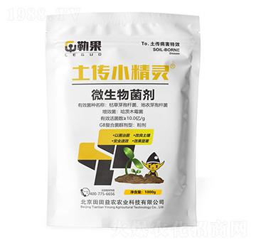 ����С���`-�չ�-�������r(n��ng)