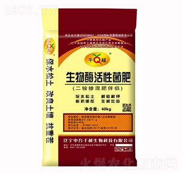 ����ø���Ծ���-ǧԽ