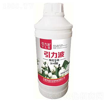 �޻����������Ƅ�-������-���r(n��ng)����