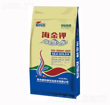 �����-�ۿ�̩