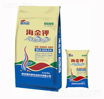 ����⛣��M�ϣ�-�ۿ�̩