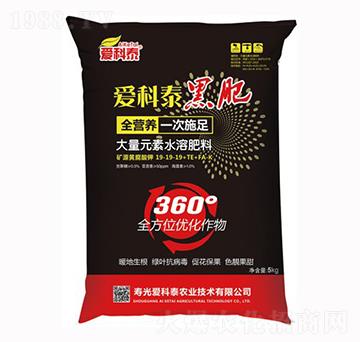 �ڷ�19-19-19+TE-FA-K-�ۿ�̩