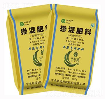 �������-�|����