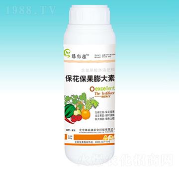 �������������-��ԣ��